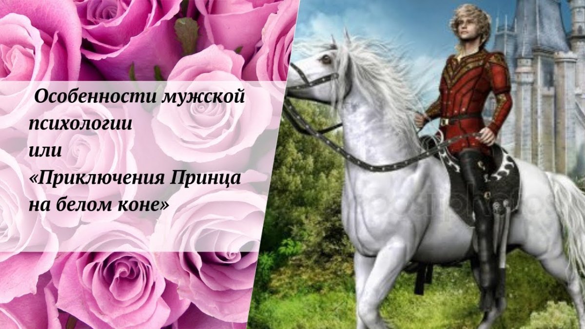 Флин Райдер и Максимус