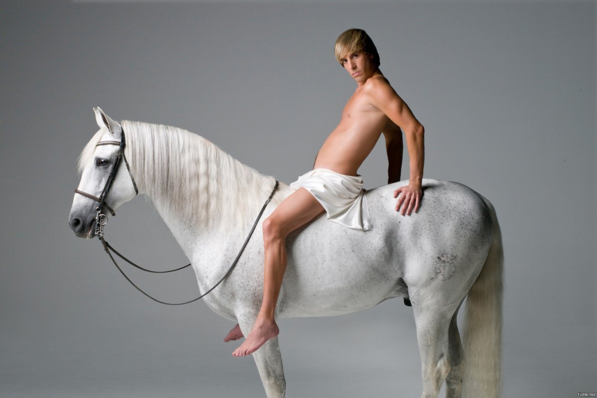 Лошадь карикатура смешные