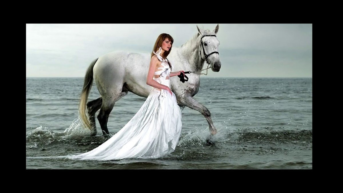 Принц на белом коне юмор