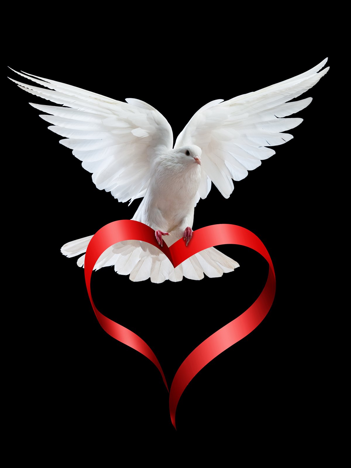 Голубь с сердечком