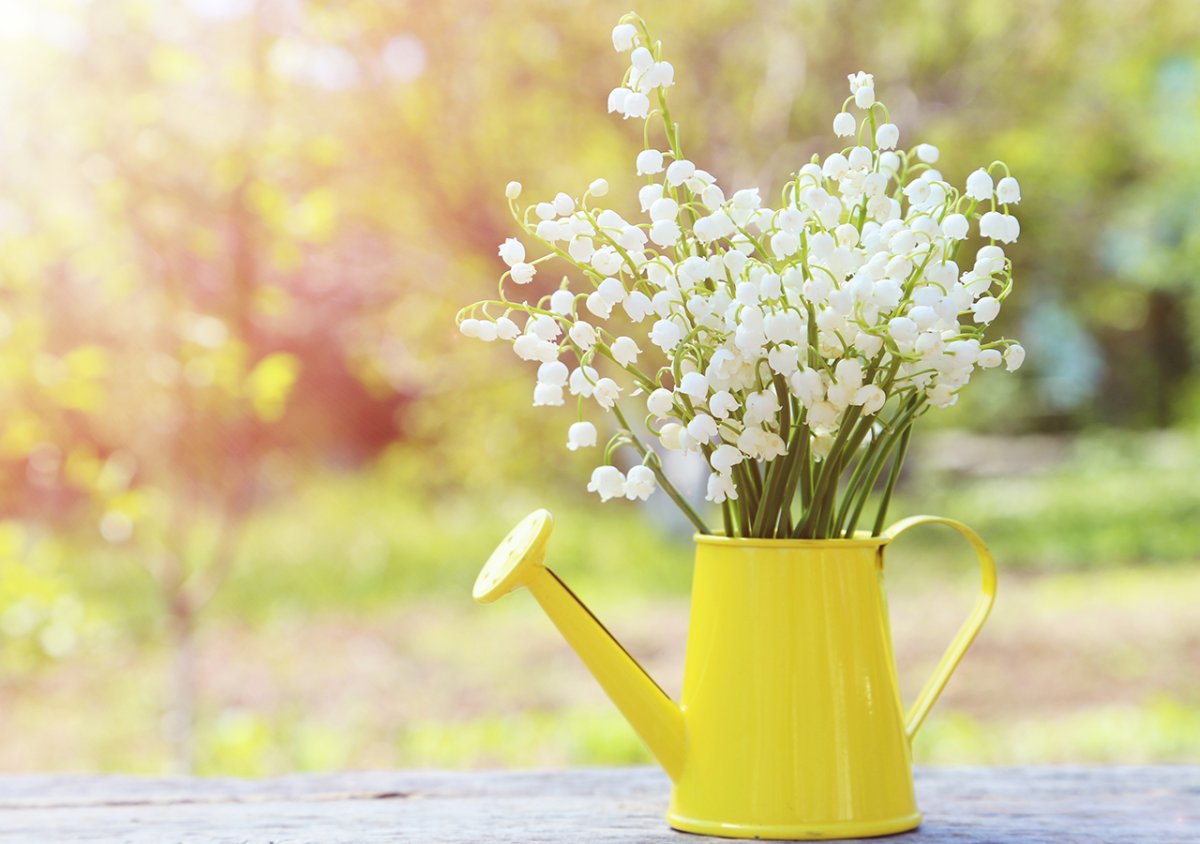 Майское утро