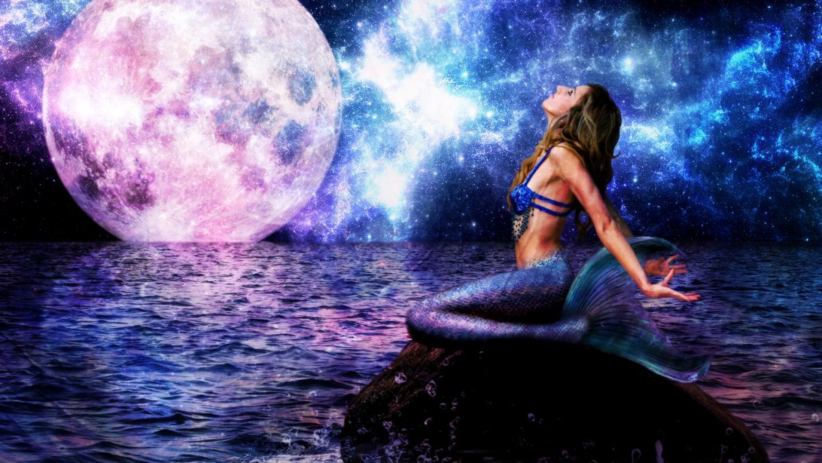 Sirens Digital Karen