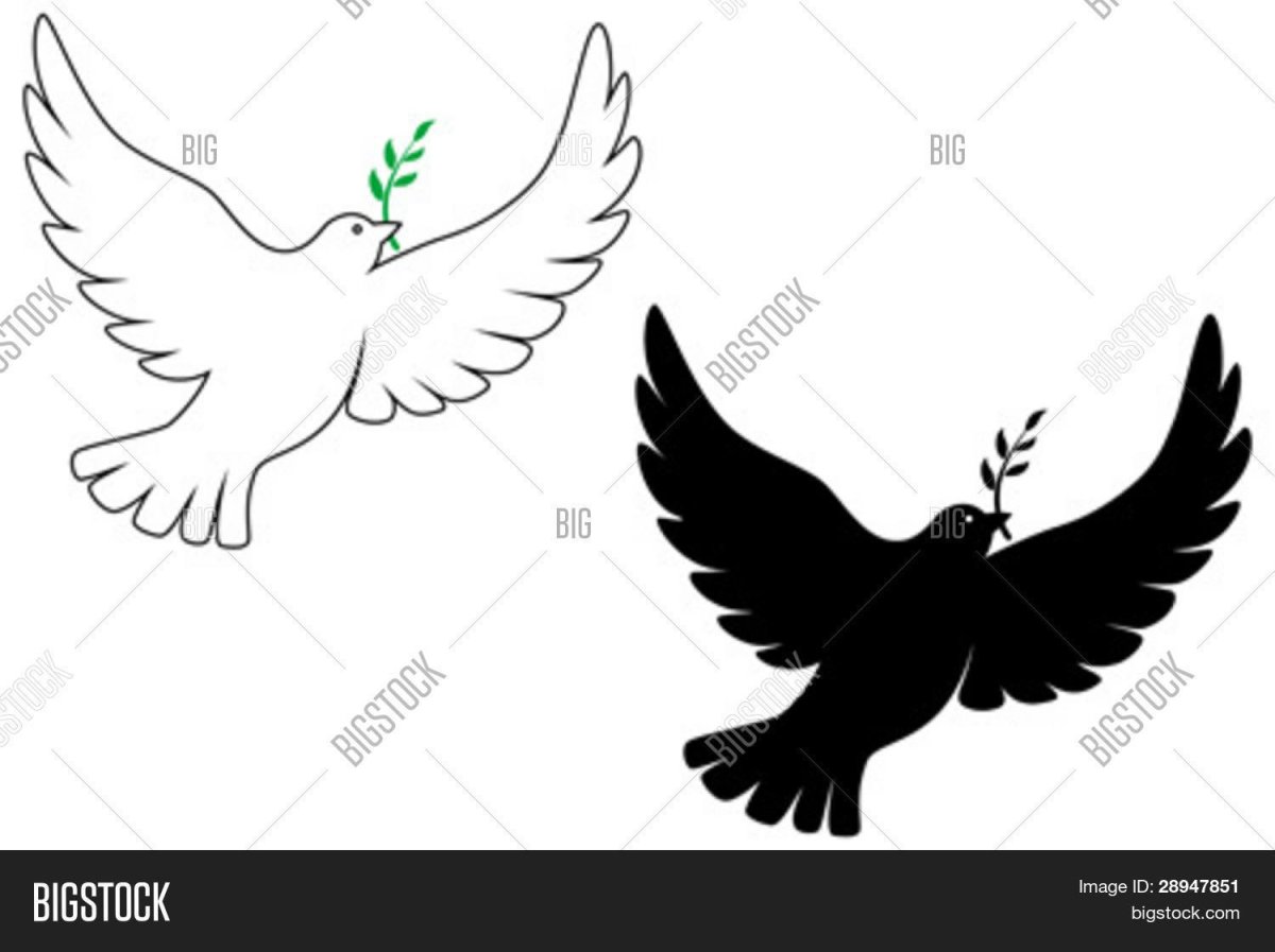 Силуэт голубя в полете