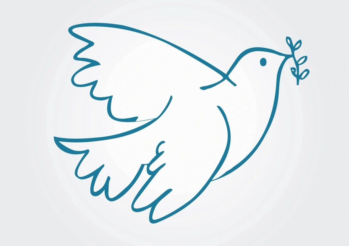 Голубь рисунок