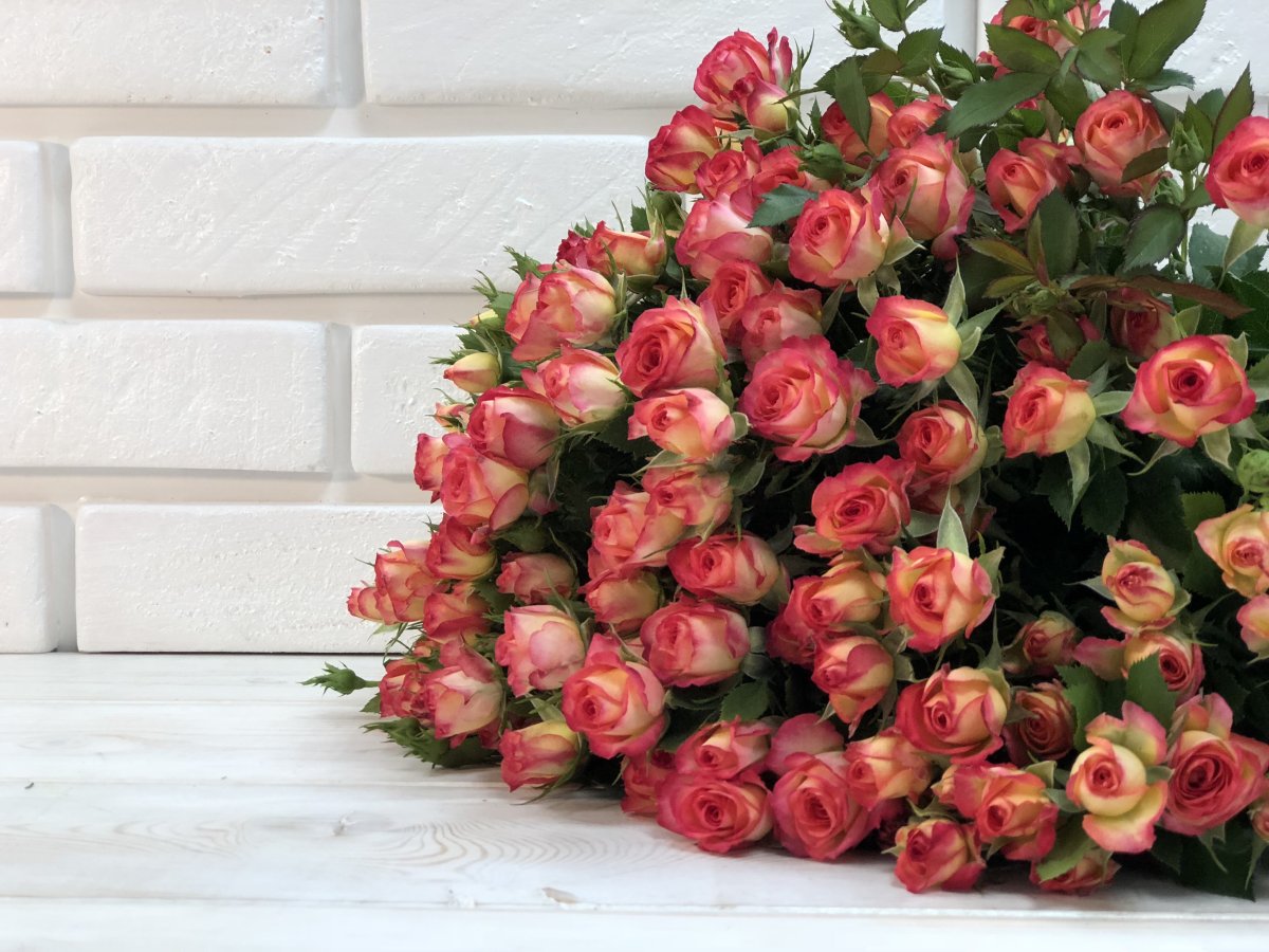 Роза кустовая саммер Роуз