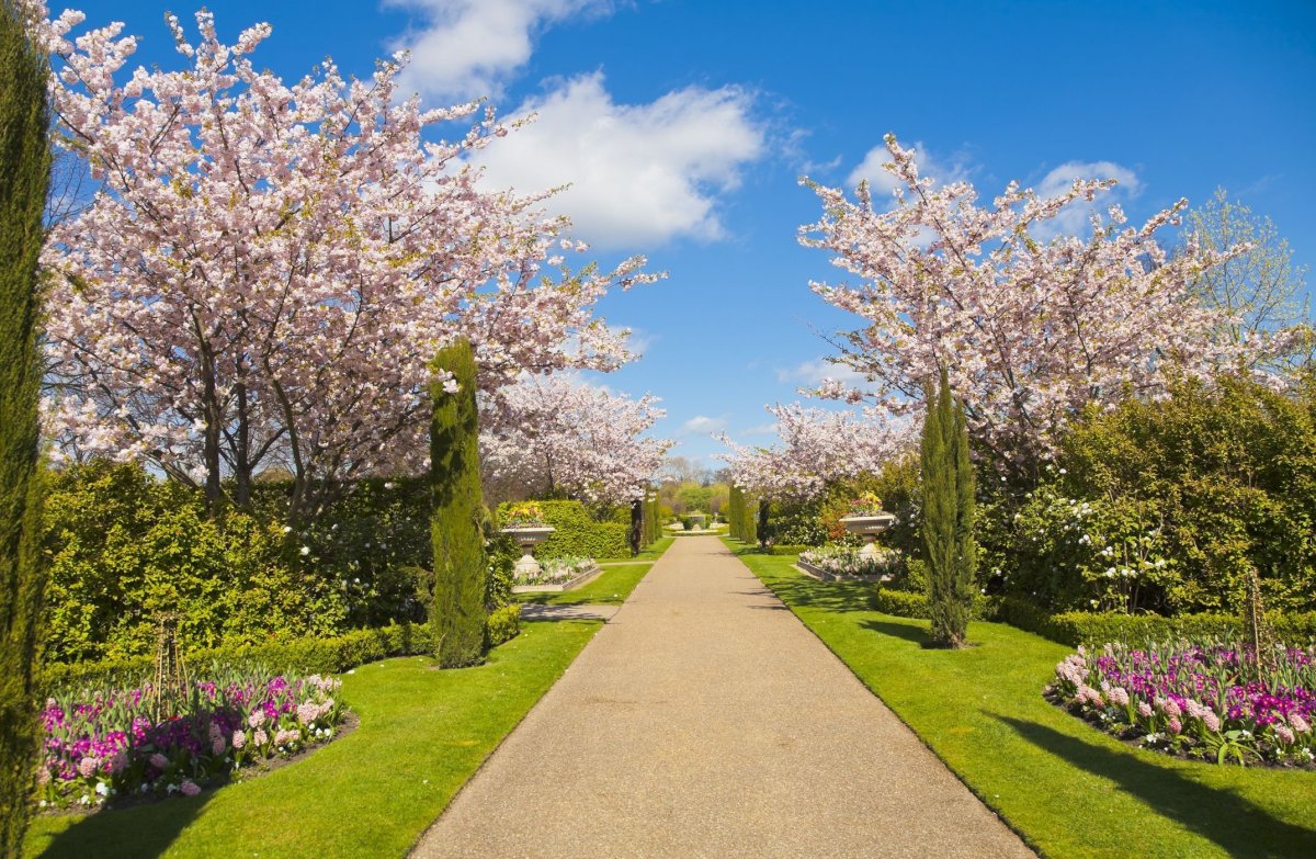 Цветущие сады