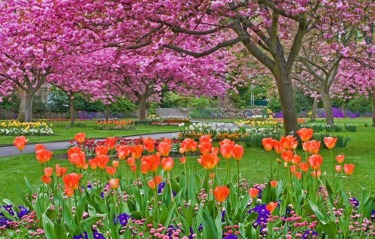 Цветущие сады