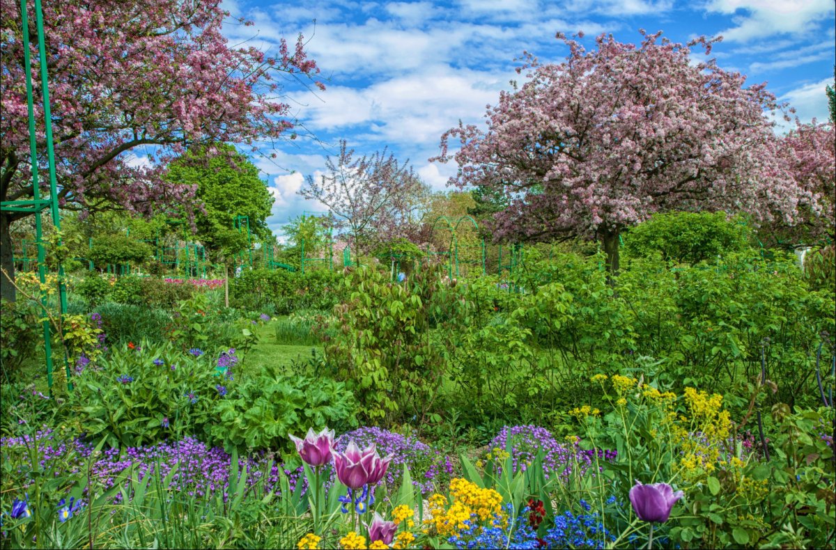 Весенний сад