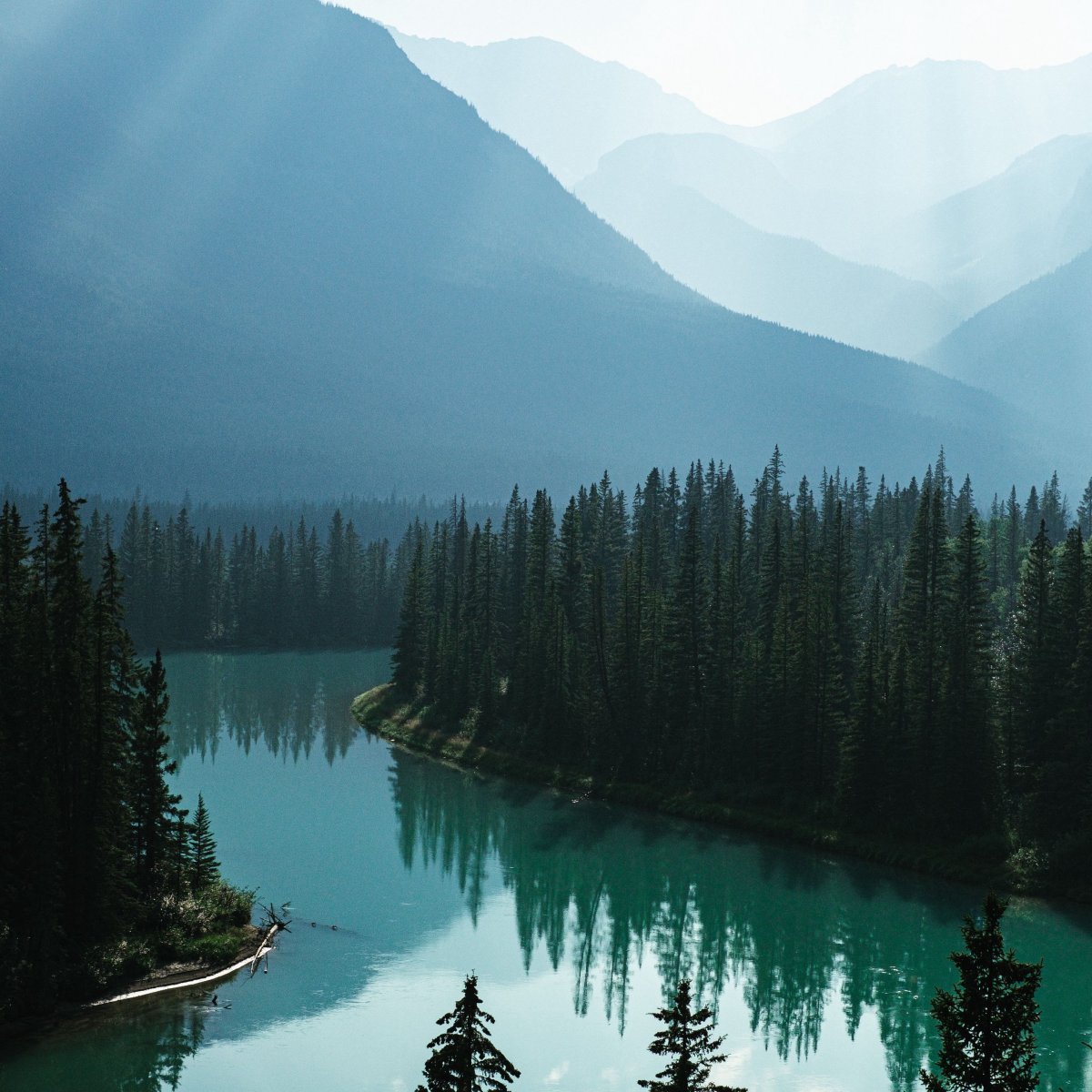 Banff Canada туман