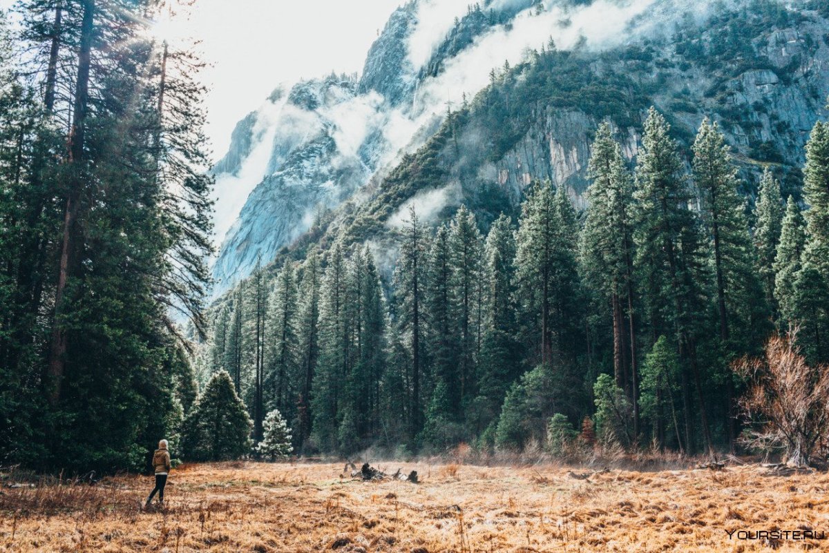 Кувайская Тайга