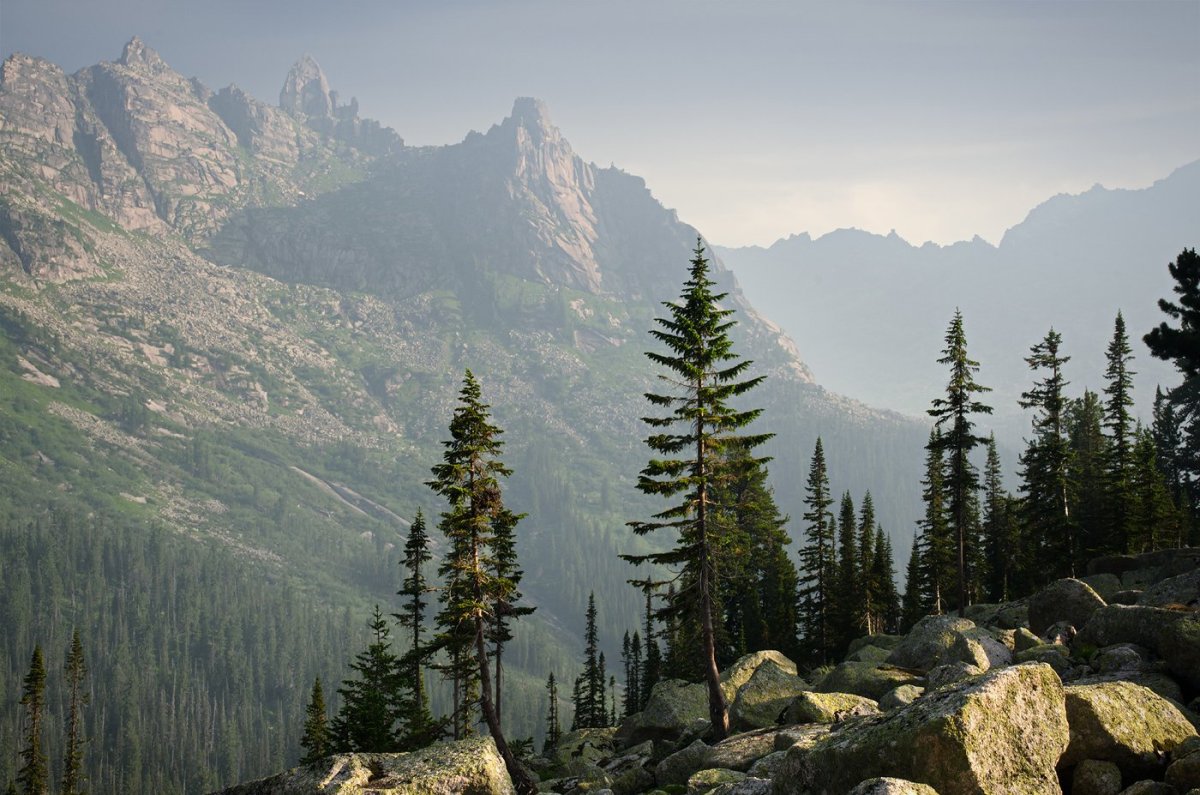 Скандинавия лес Шварцвальд