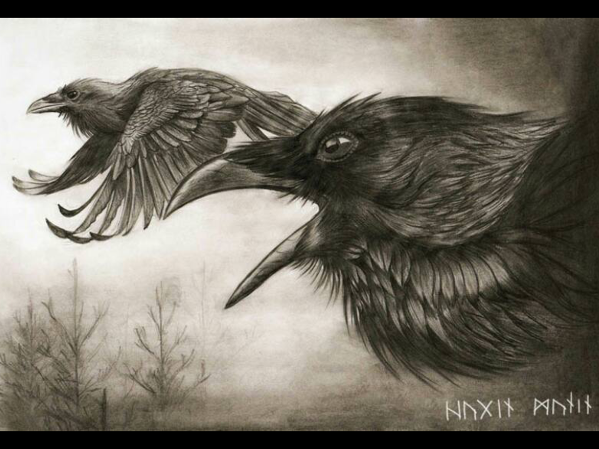 Скандинавская мифология Хугин и Мунин