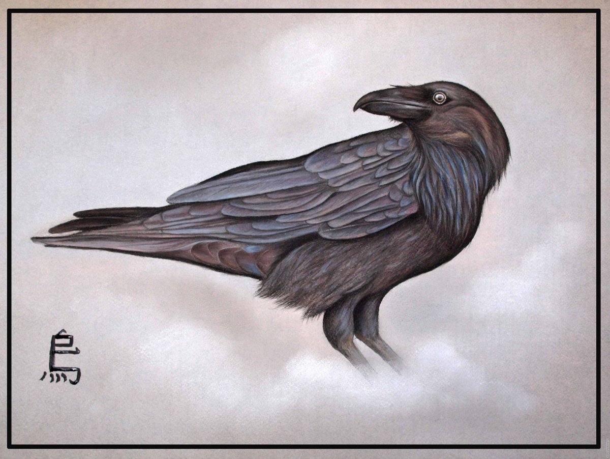 Линейный ворон