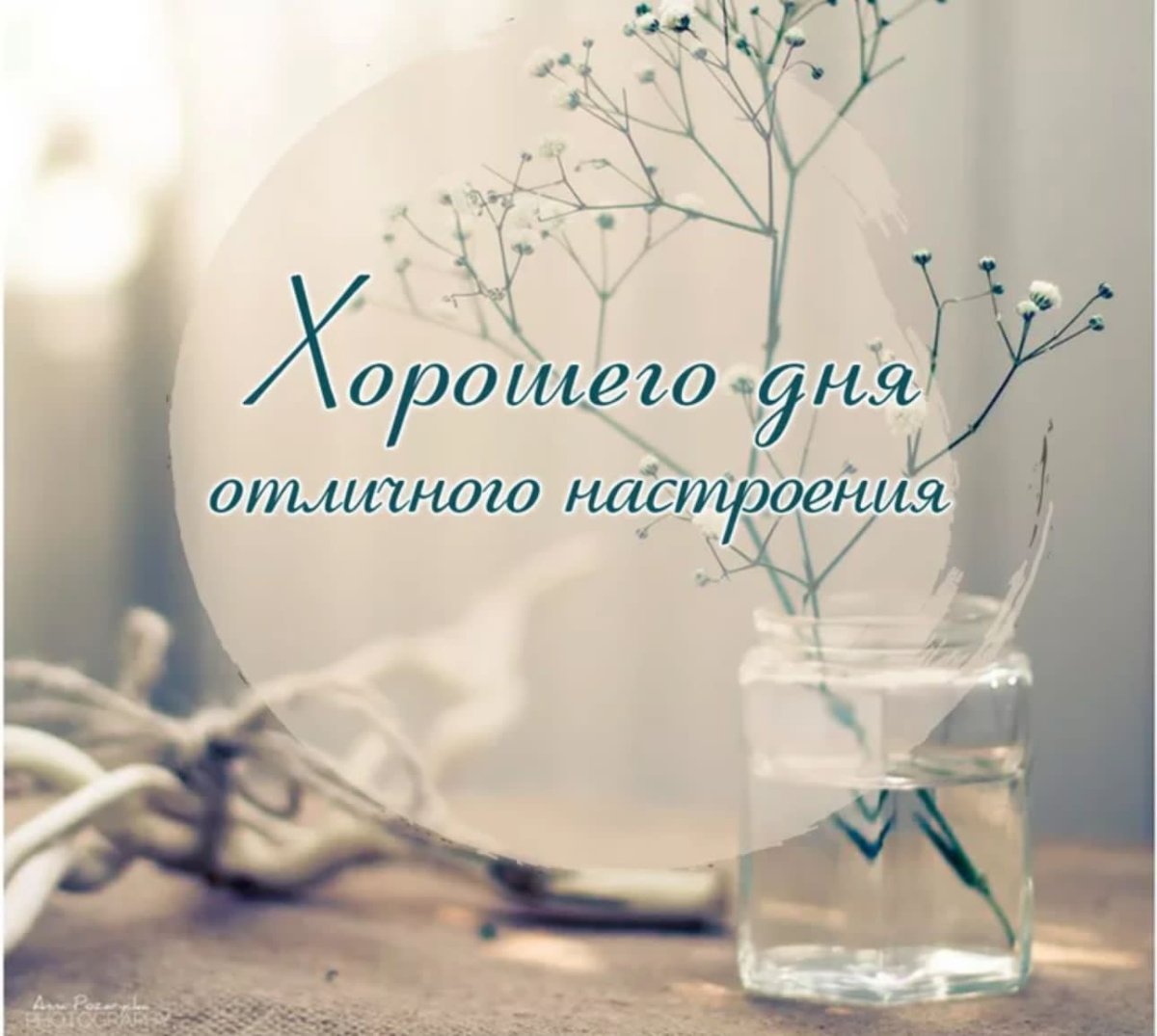 Хорошего дня и отличного настроения