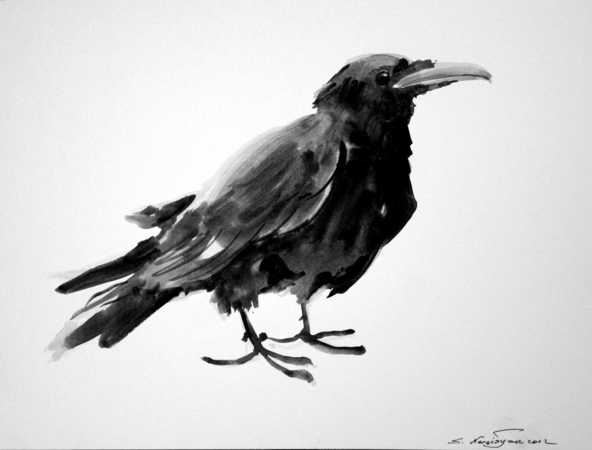 Ворон акварелью