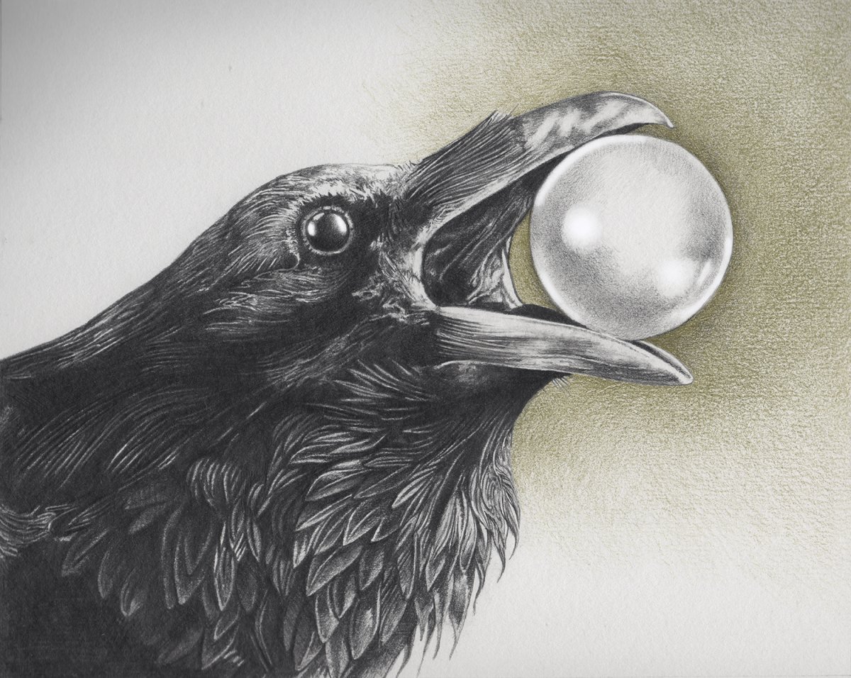 Ворона рисунок