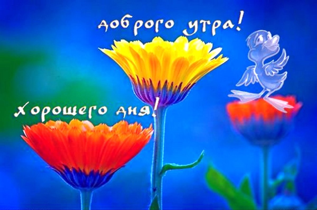 Хорошего зимнего настроения