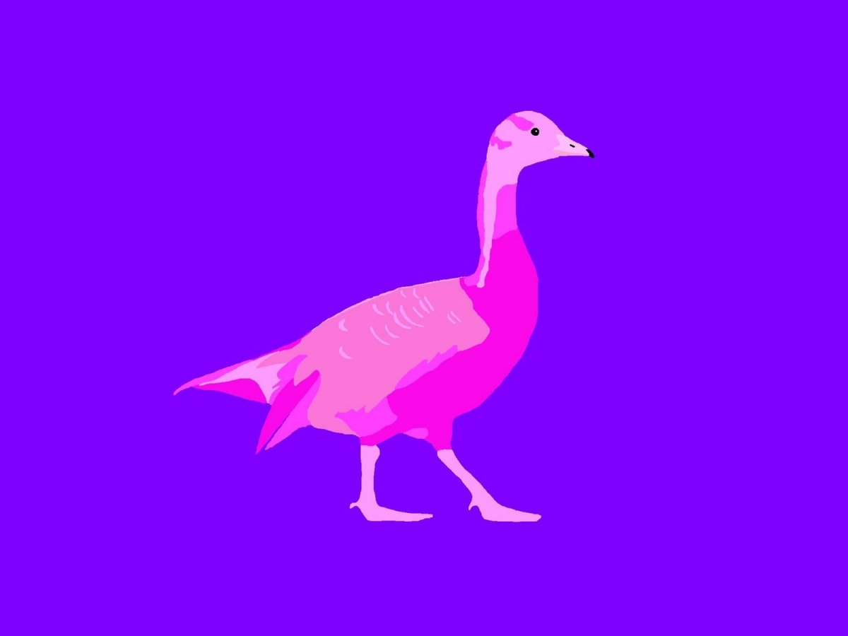 Розовый Гусь