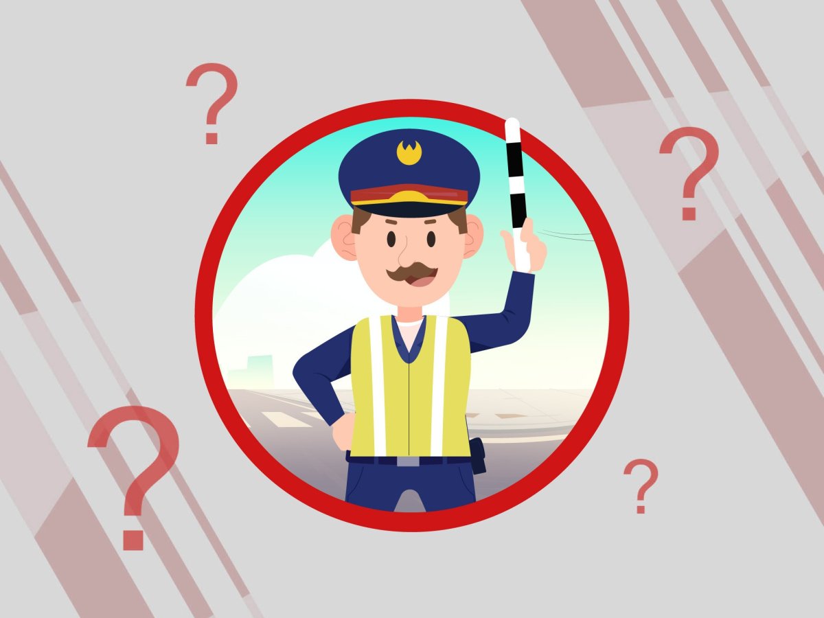 Дорожный регулировщик