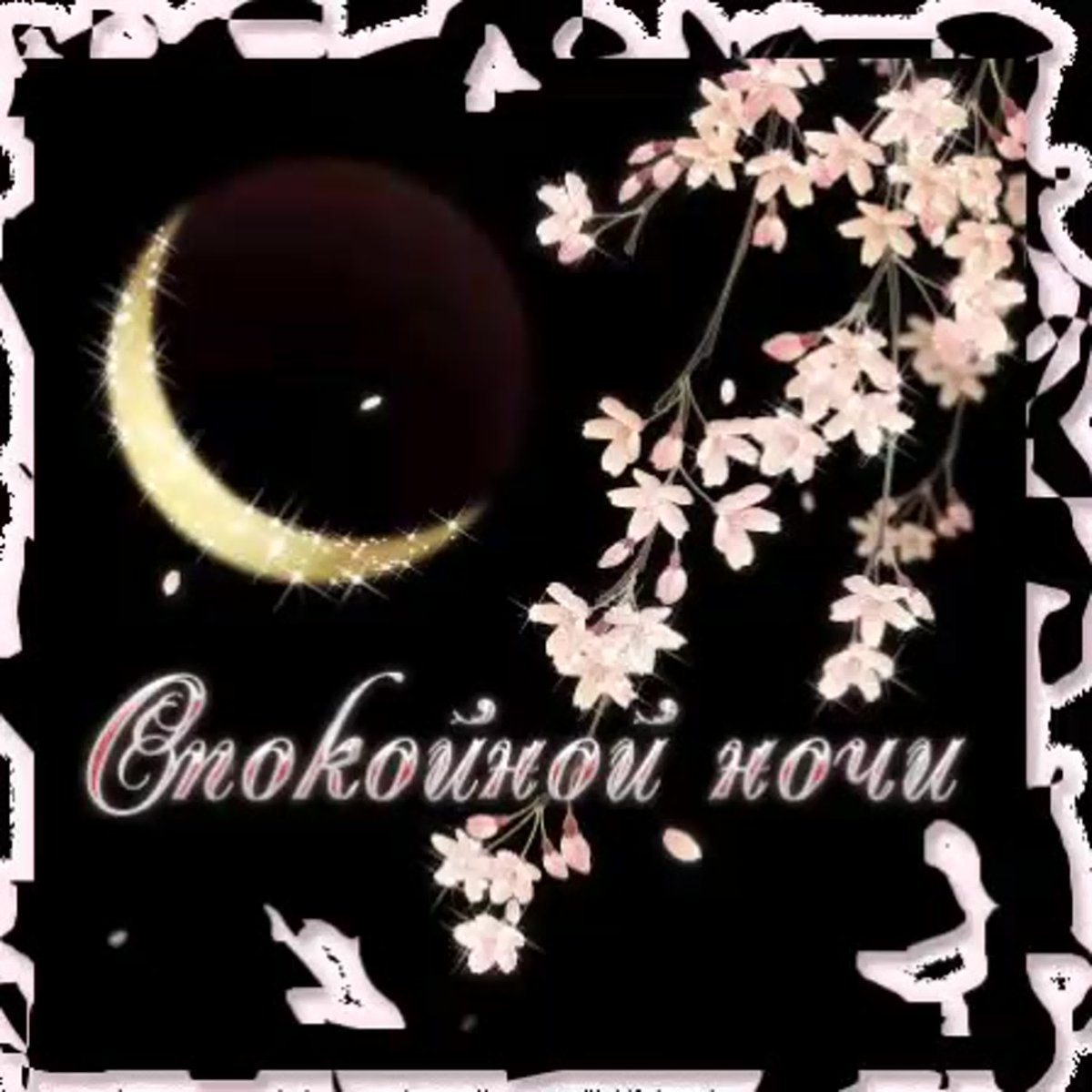 Спокойной ночи до завтра