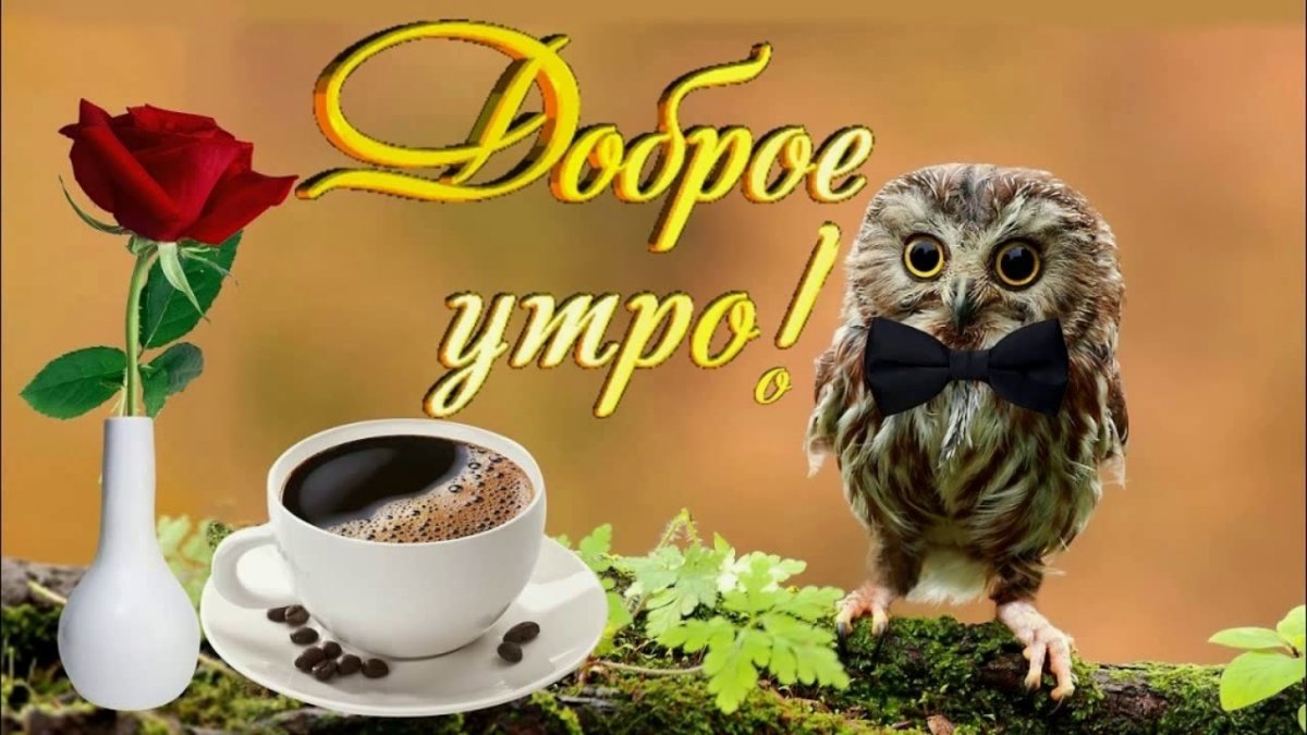 Веселые открытки с добрым утром