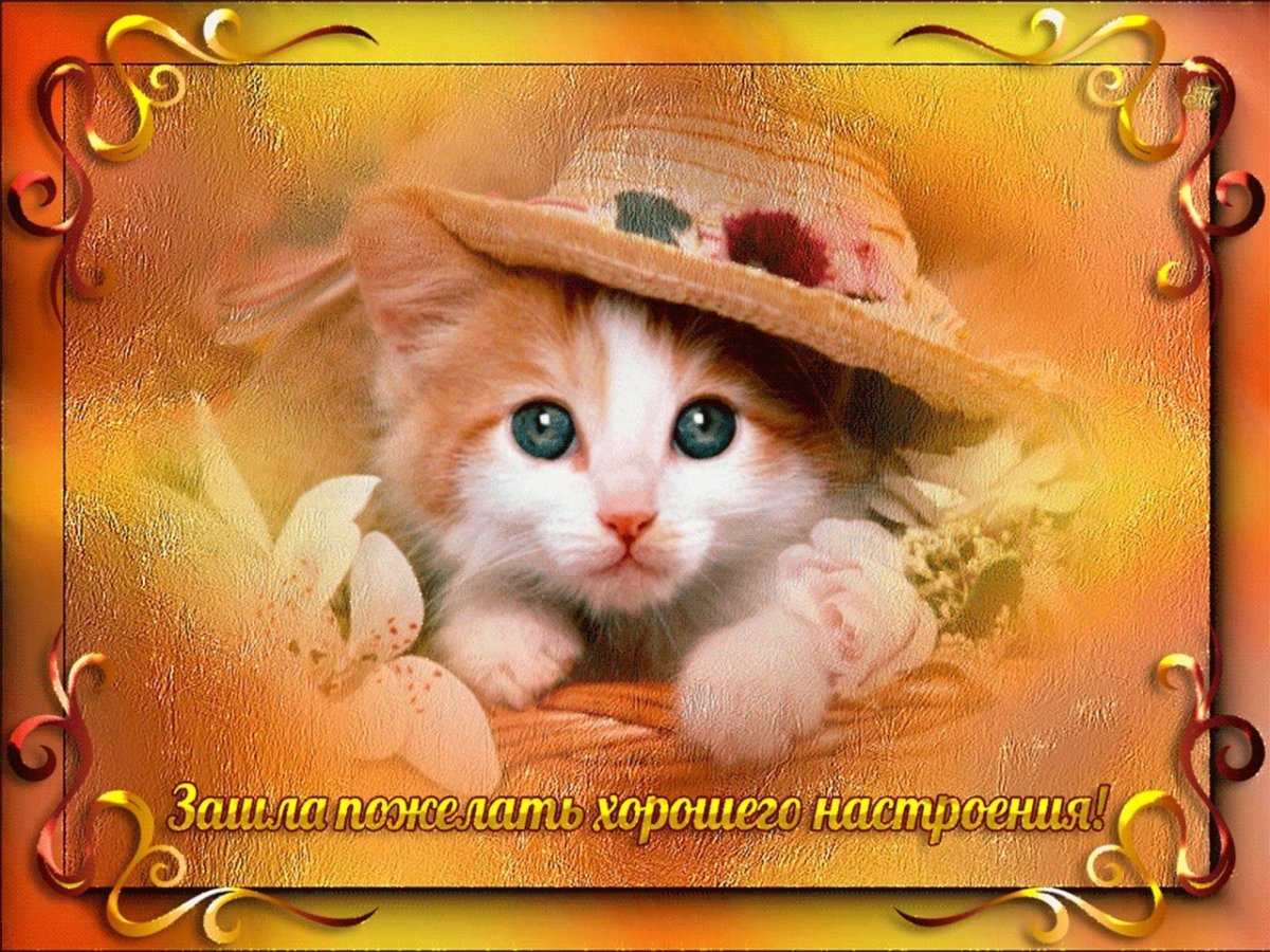 Желаю клубничного настроения