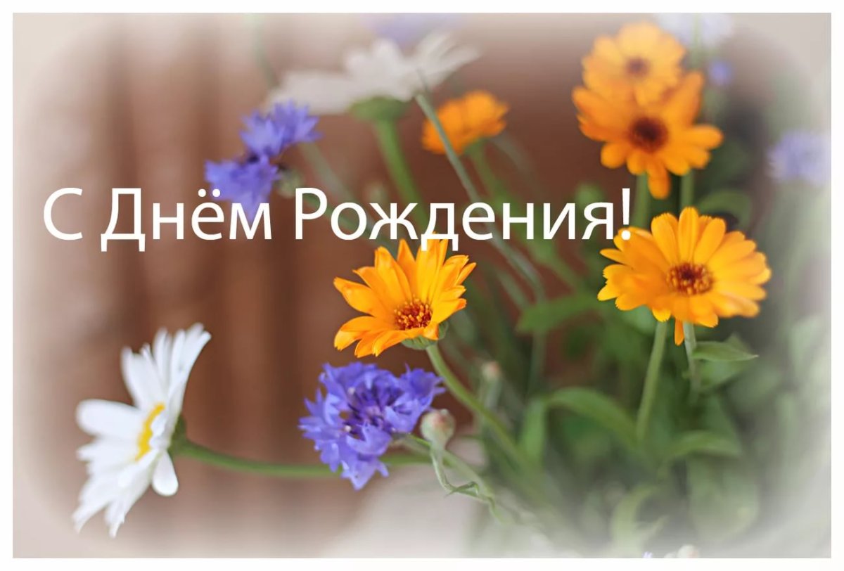 С днём рождения Галина