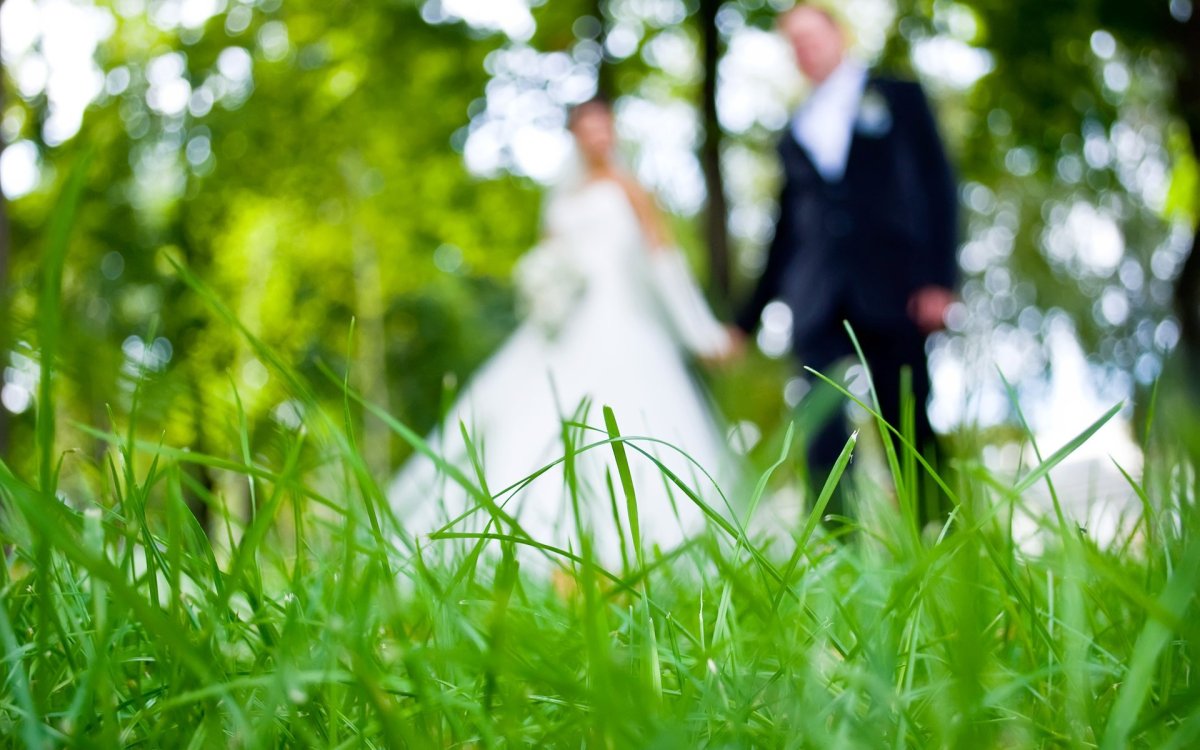 Невеста догоняет жениха