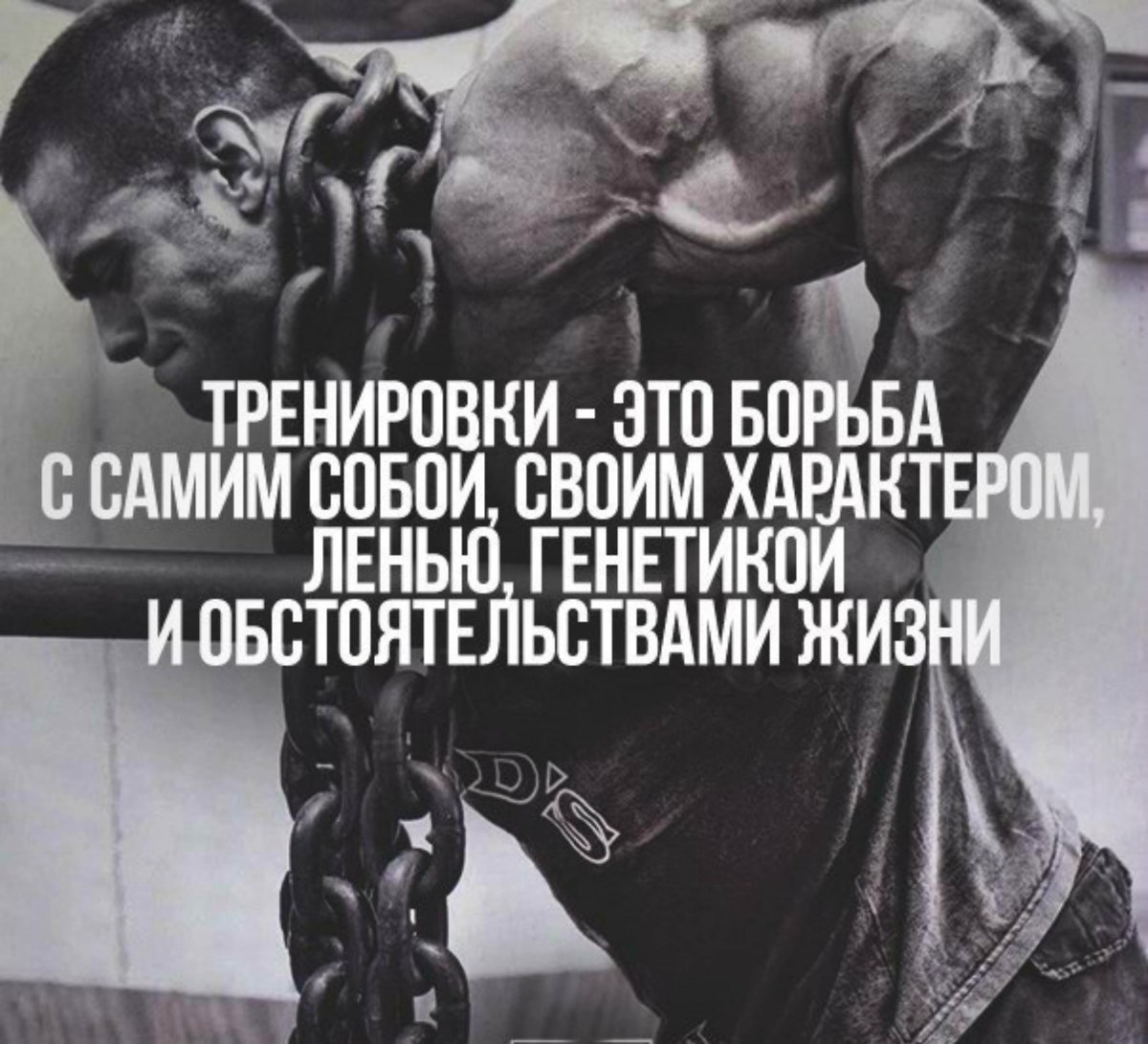 Мотиватор на тренировку