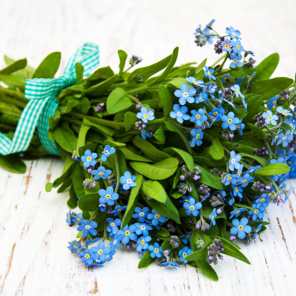 Полевые цветы в кружке