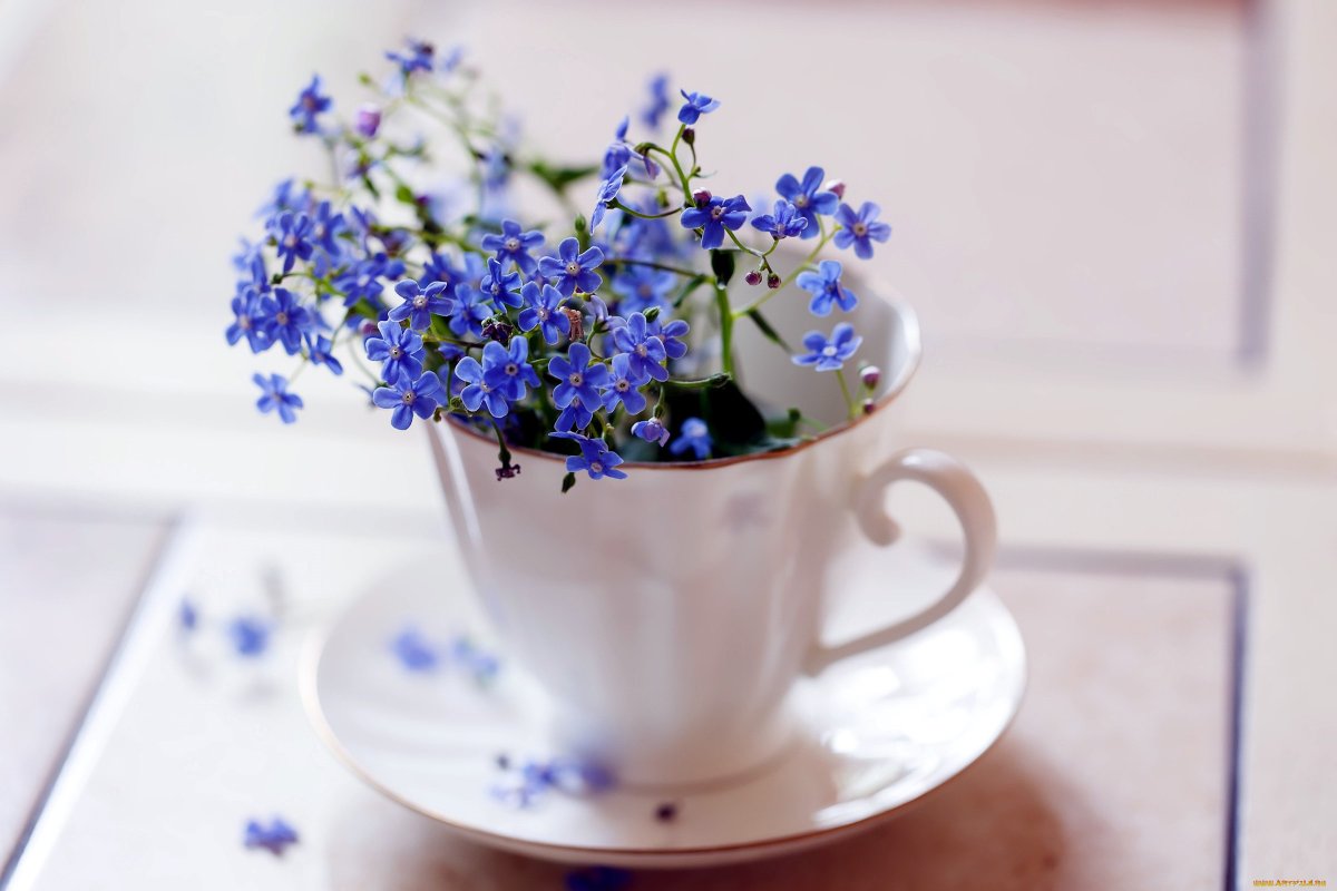 Незабудки полимерная глина букеты