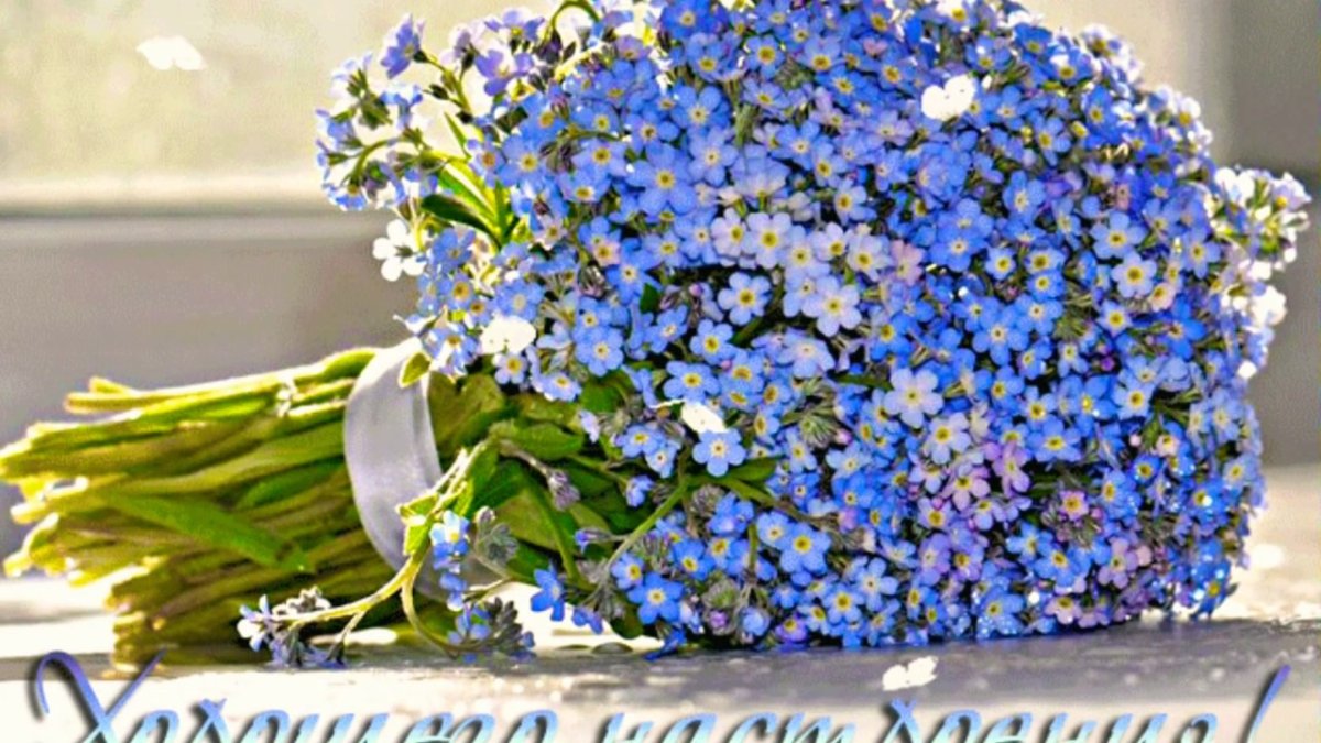 Композиции с незабудками