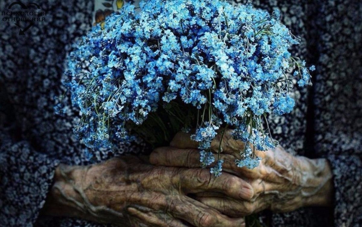 Букет из незабудок