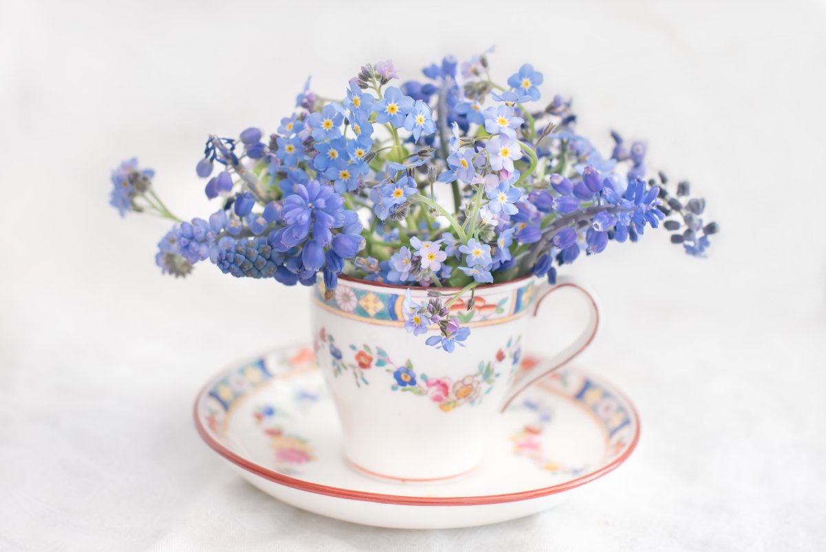 Незабудки в вазе