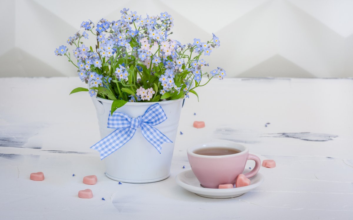 Букет незабудок