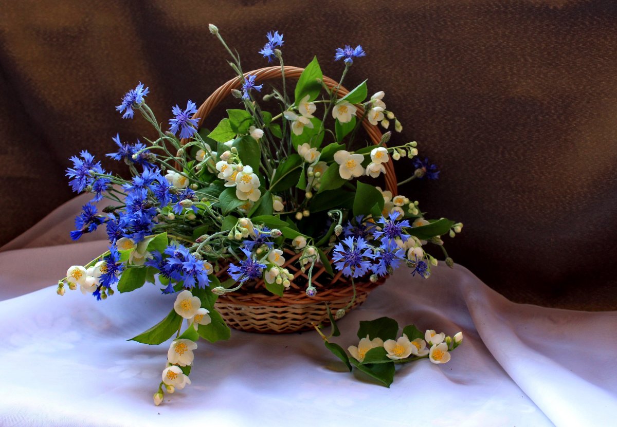 Незабудки в корзине