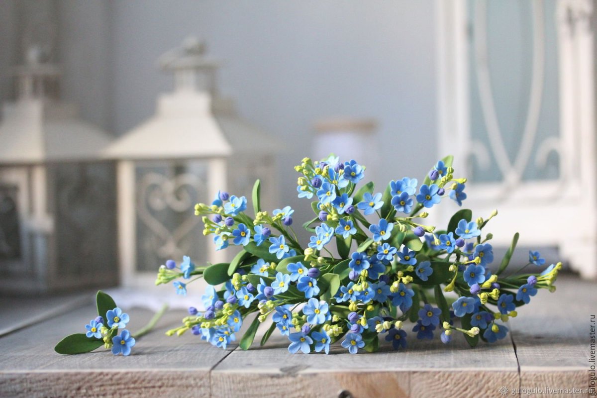 Незабудки в волосах