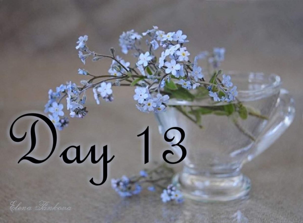 Незабудка Садовая голубая