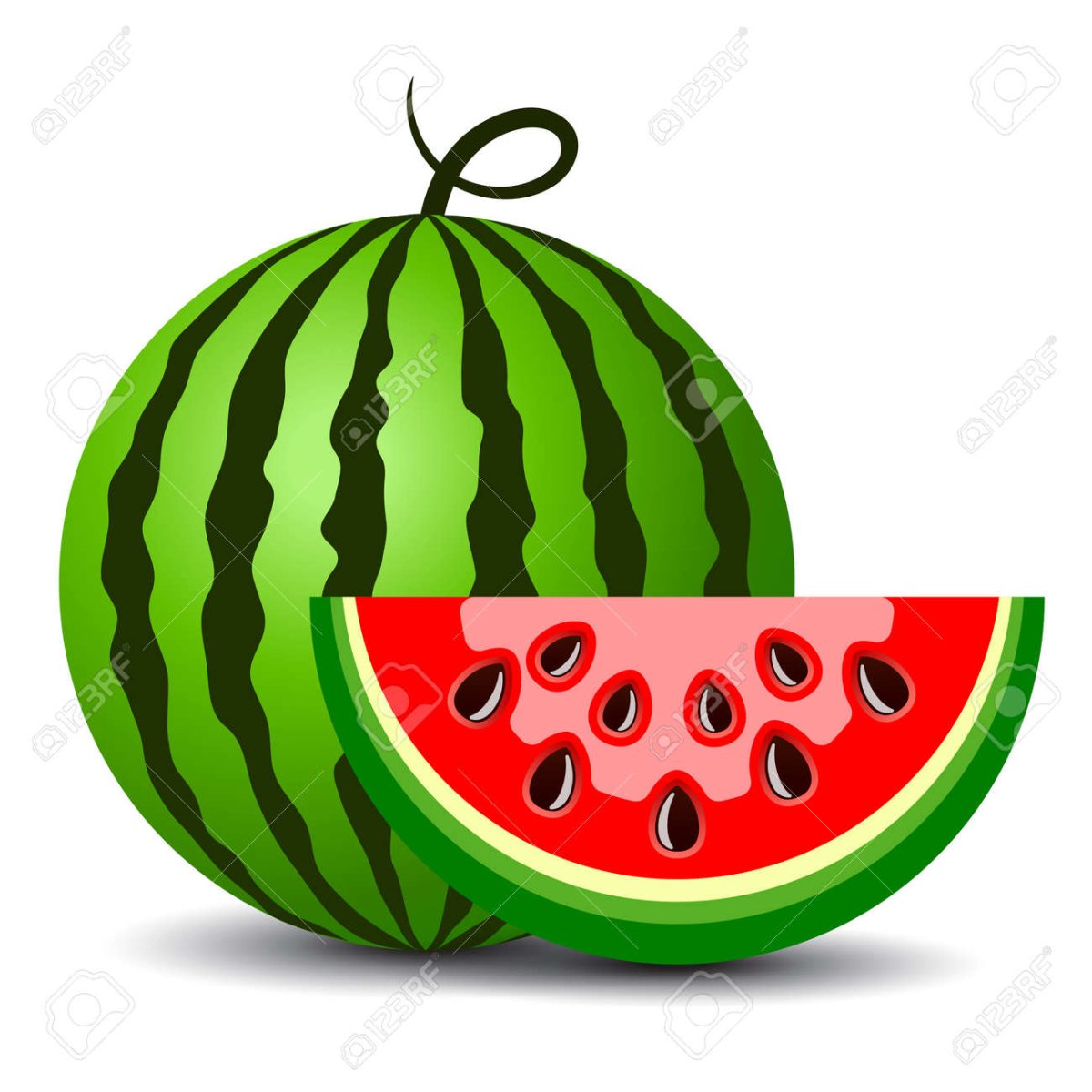 Арбуз картинка для детей