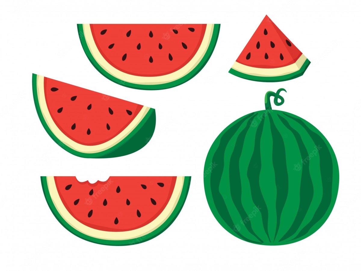 Части арбуза