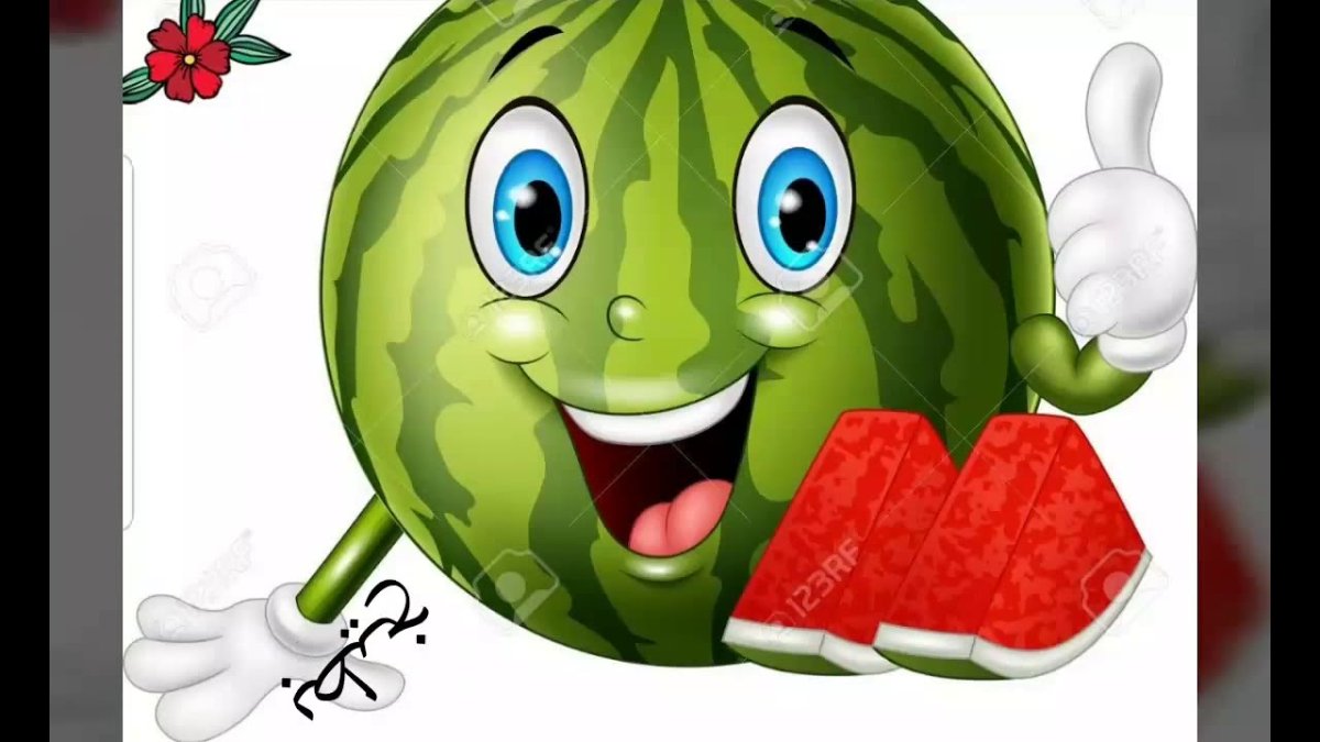 Арбуз иллюстрация