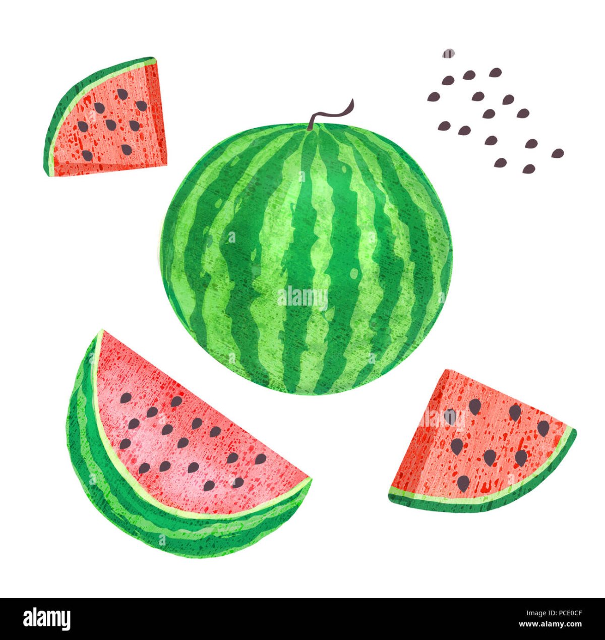 Арбуз на белом фоне мультяшный