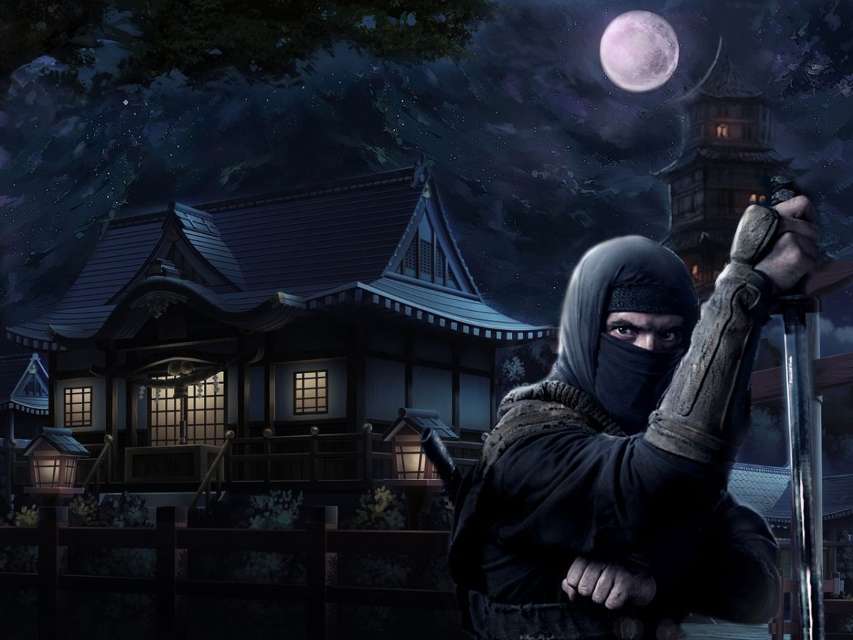 Ниндзя Япония