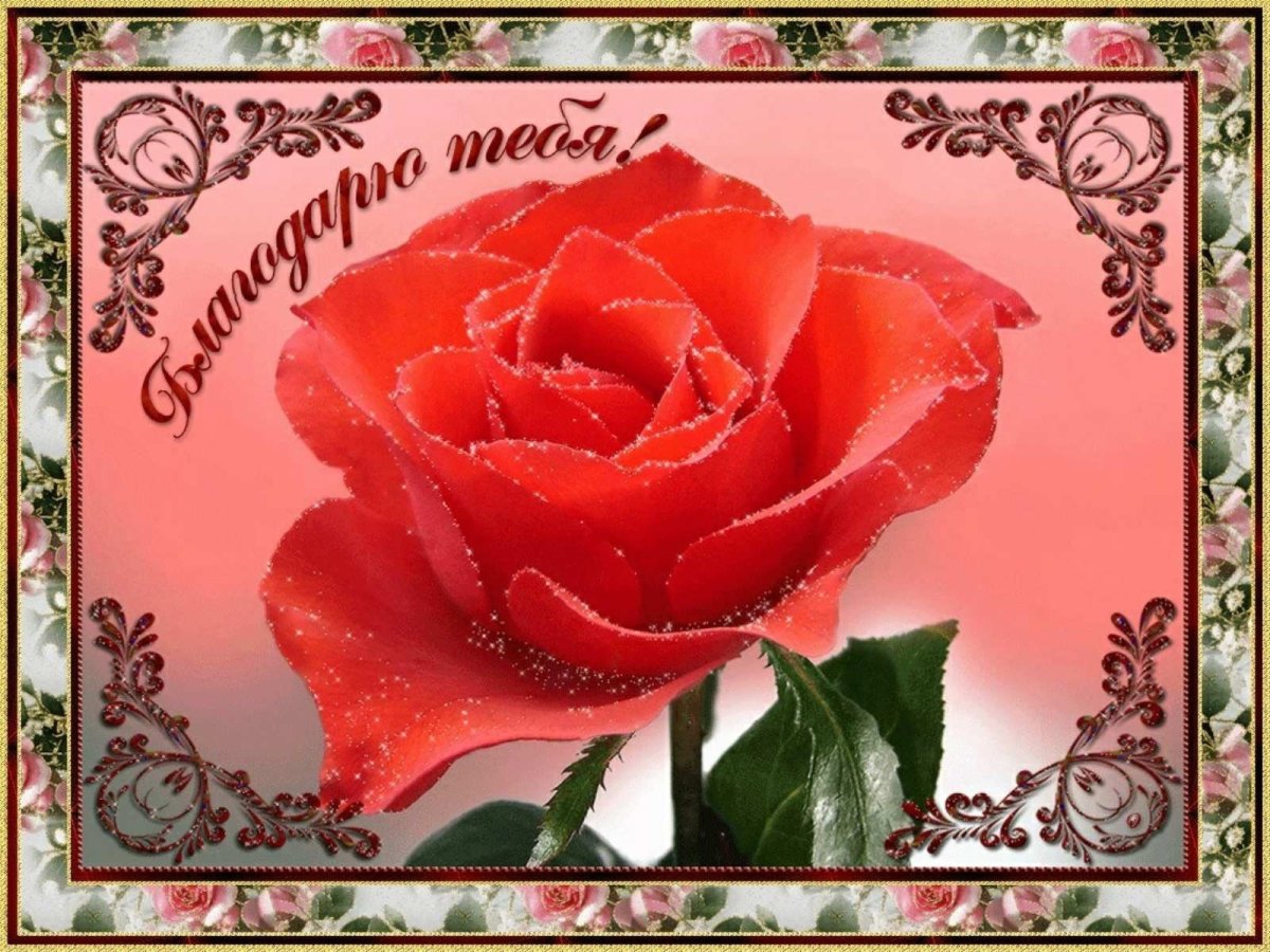 Мерцающие открытки с благодарностью