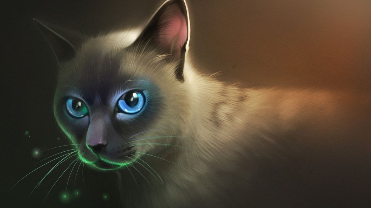 Коты Воители Сиамская кошка