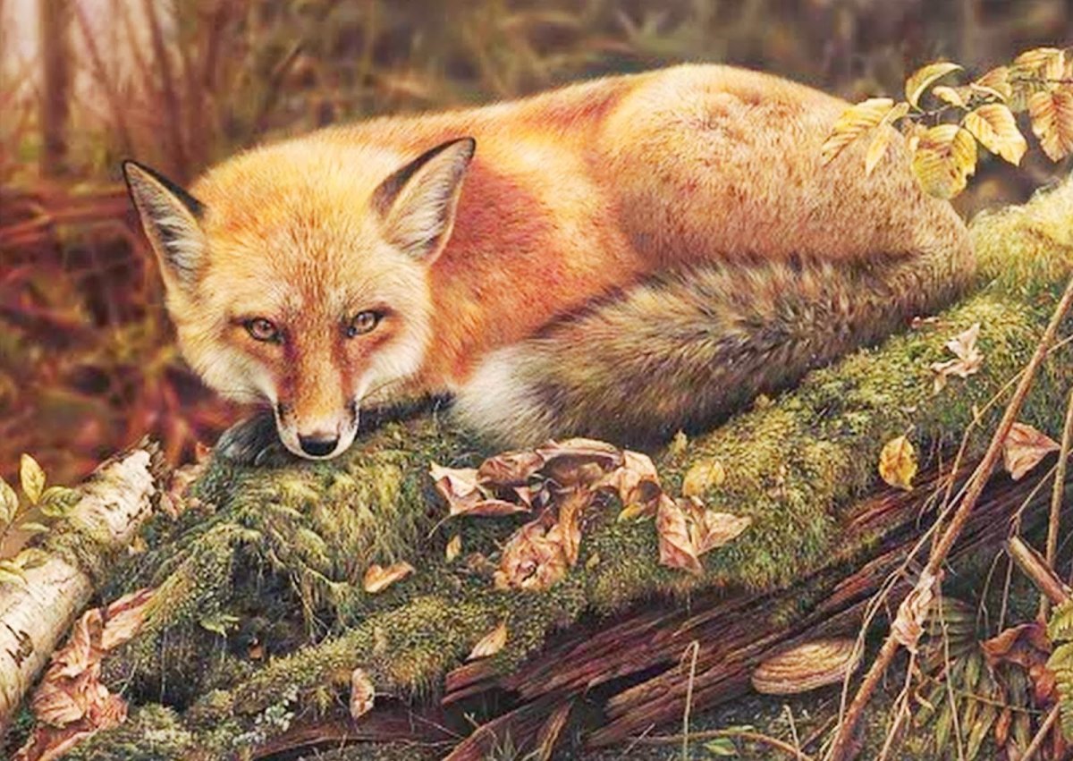 Художник Денис Майер Denis Mayer