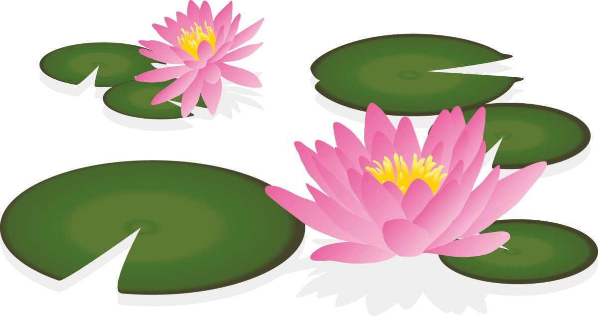 Кувшинки мультяшные