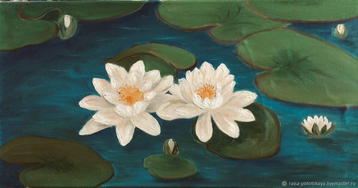 «Белые кувшинки» (1899).