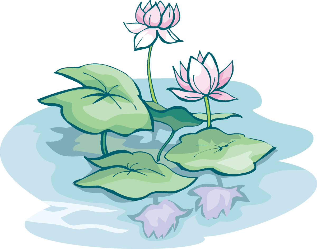 Кувшинка рисунок