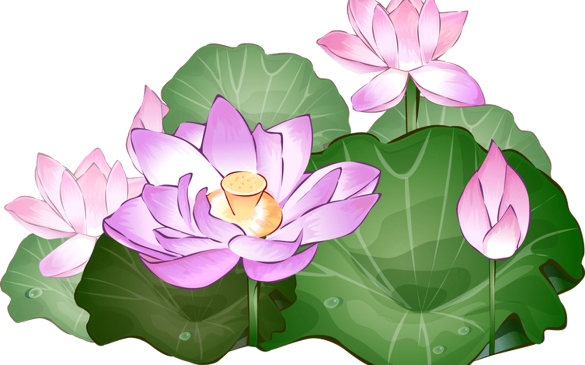 Лотос блоссом арт